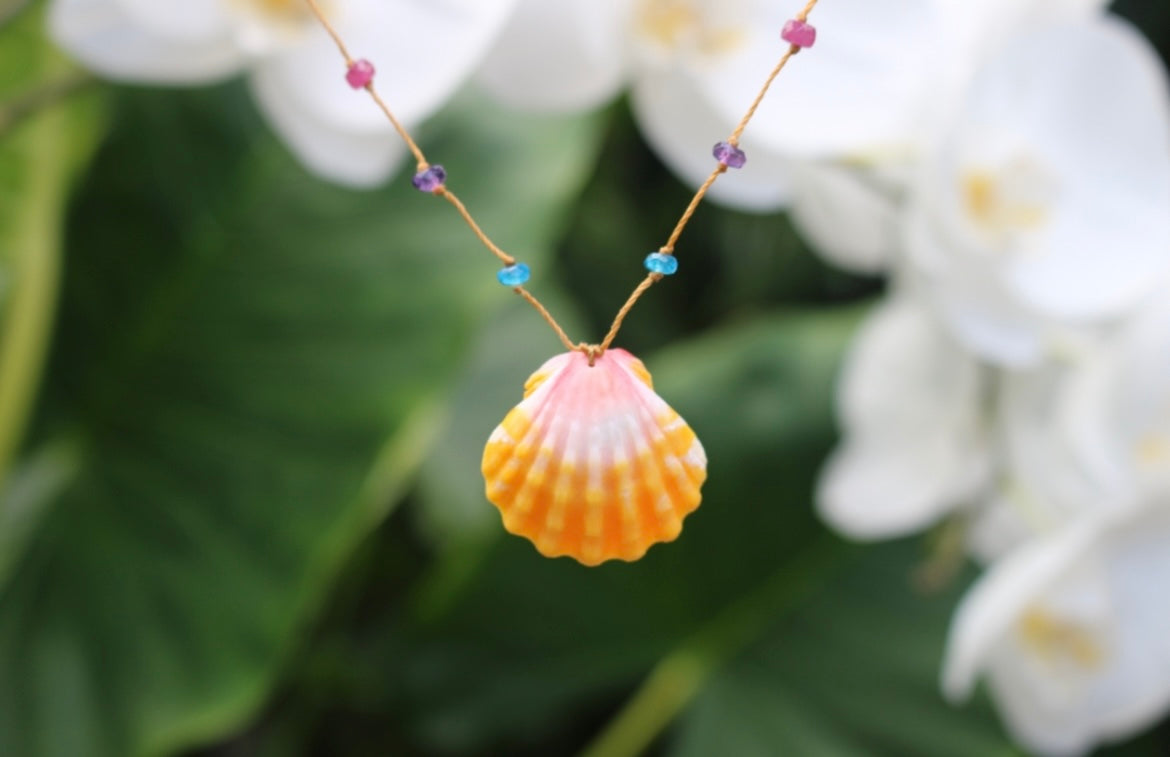 Sunrise Shell Rainbow Drop