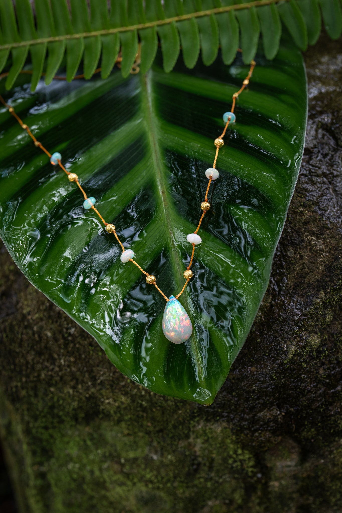 Ethiopian Opal Alohi