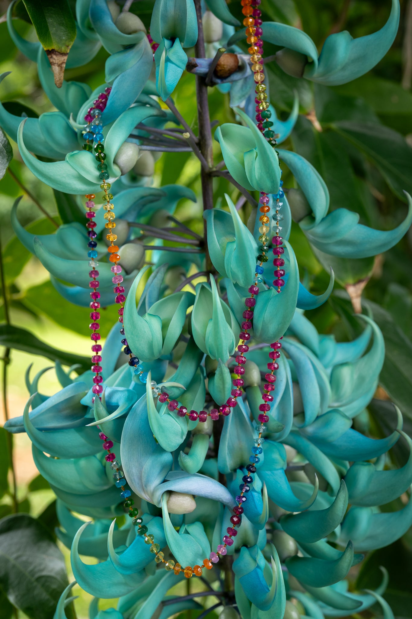 Fuchsia Ruby Rainbow Lei