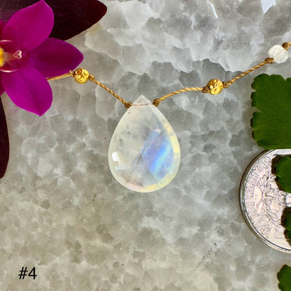 Large Moonstone and Gold Alohi Drop