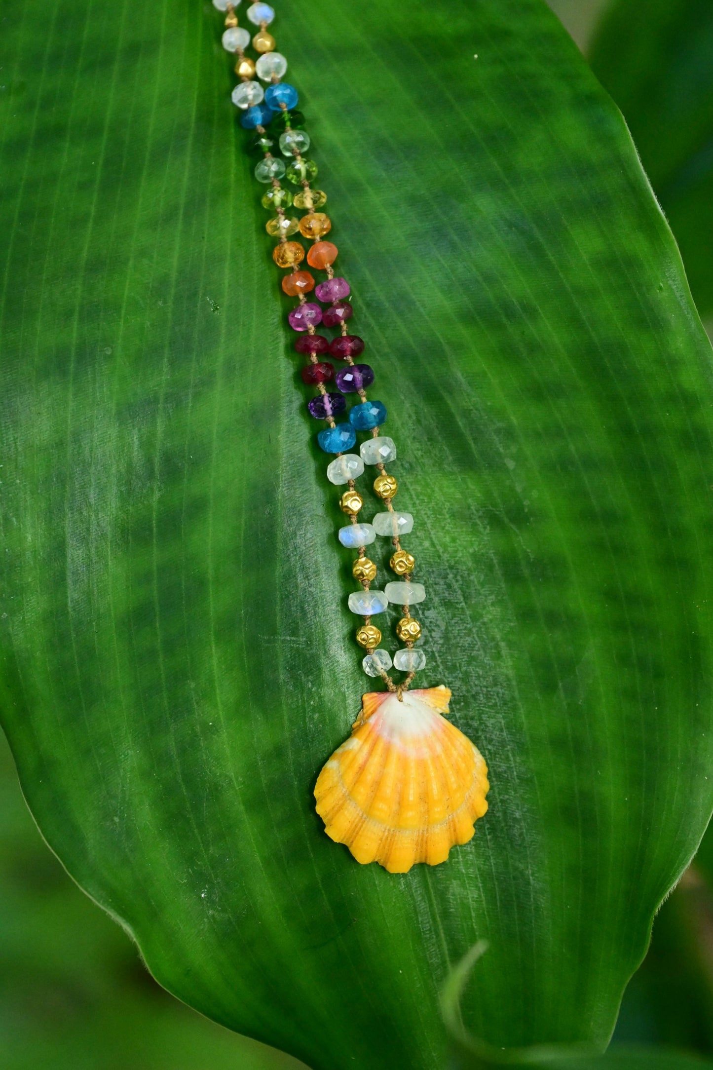 Sunrise Shell with Moonstone & Gold Rainbow Mana
