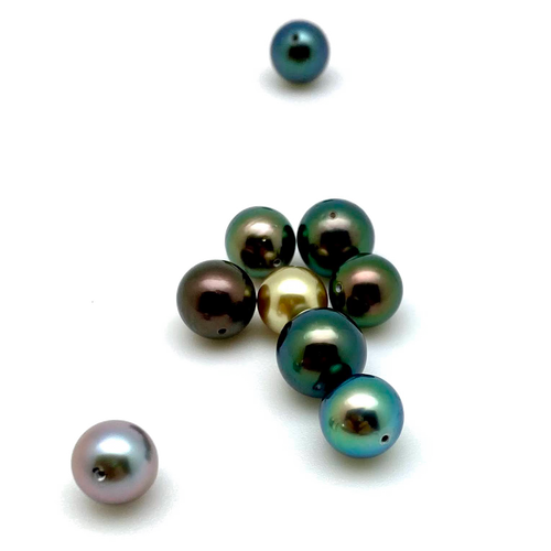 TAHITIAN BLACK PEARL